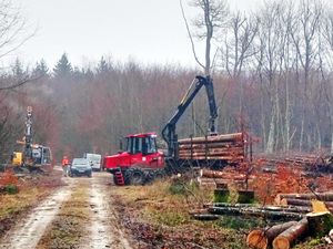 Bagger im Wald